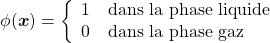 \begin{equation*} \phi(\boldsymbol{x}) = \left\{ \begin{array}{ll} 1 \textrm{~~~dans la phase liquide} \\ 0 \textrm{~~~dans la phase gaz} \end{array} \right. \end{equation*}