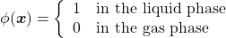 \begin{equation*} \phi(\boldsymbol{x}) = \left\{ \begin{array}{ll} 1 \textrm{~~~in the liquid phase} \\ 0 \textrm{~~~in the gas phase} \end{array} \right. \end{equation*}